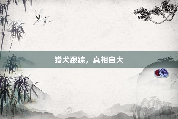 猎犬跟踪,真相自大